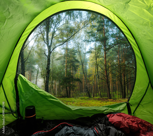 Camping in misty old foggy forest in summer