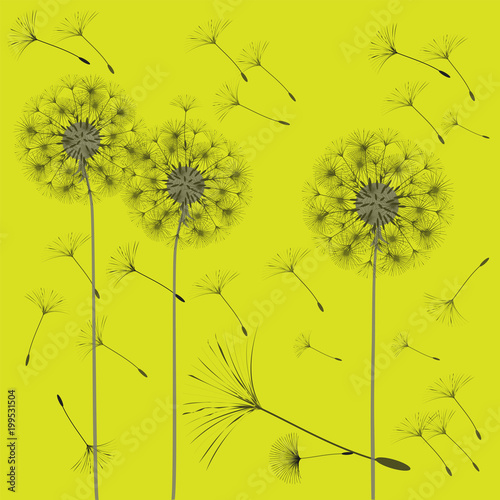 Abstract background of a dandelion for design.