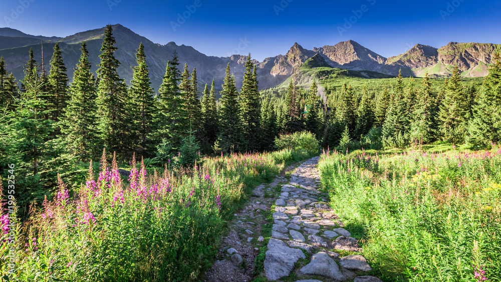 Beautiful trail in Tatras leading to a mountain shelter, Poland