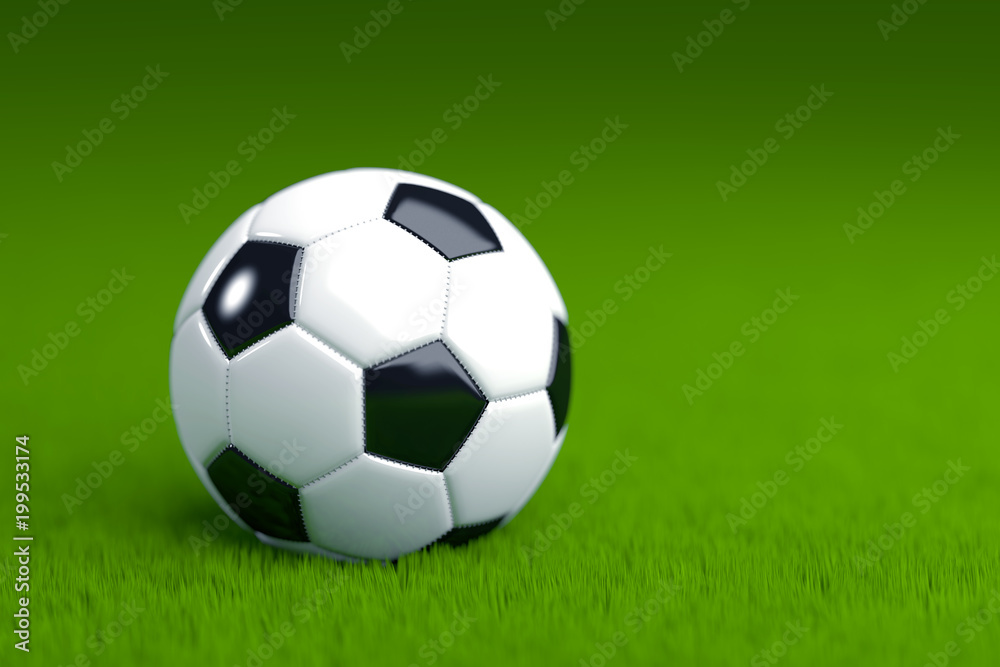 Soccer Ball on Grass 3D Render