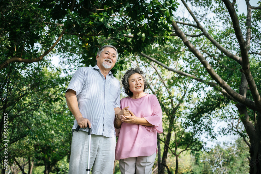 Happy senior couple in the park