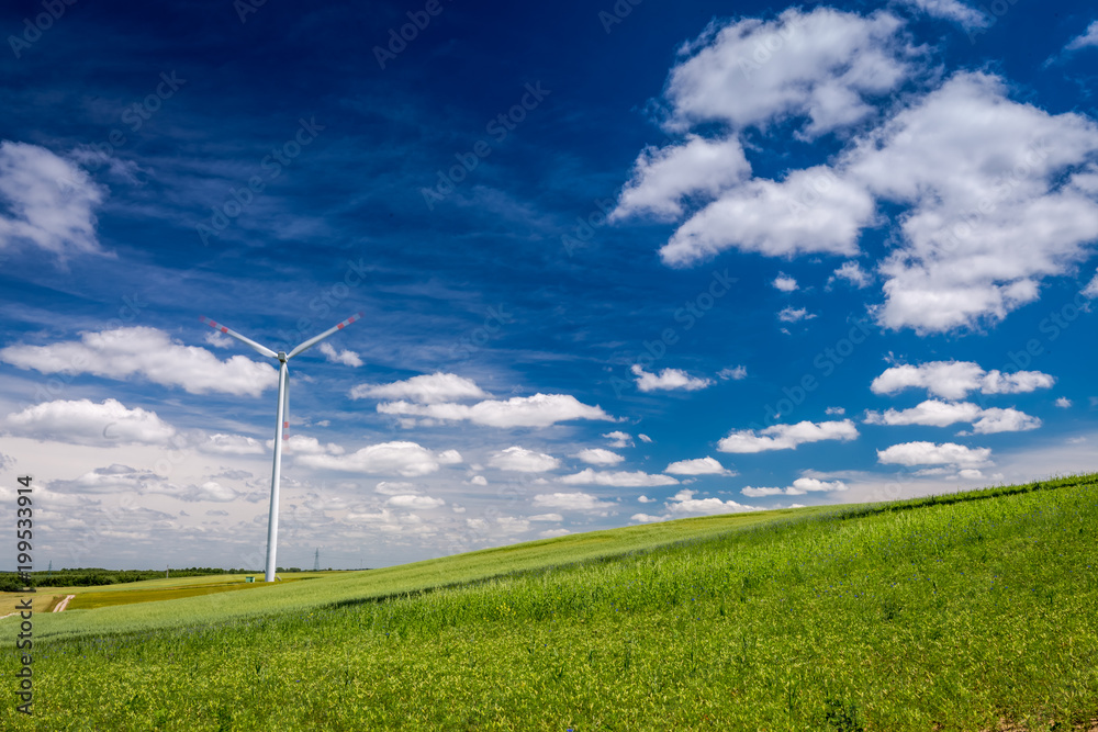 Ecological wind turbines as alternative energy on green field