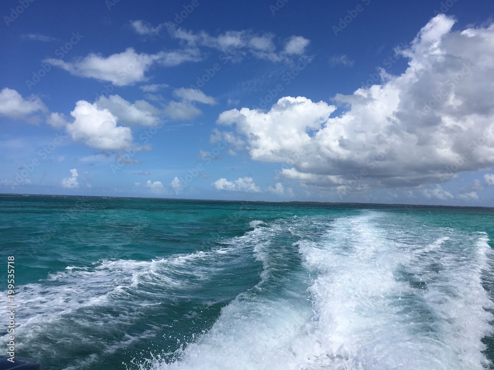 Fototapeta premium antille