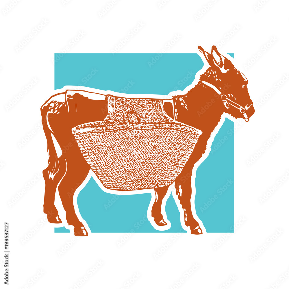 Drawing of donkey with carrying luggage - side view. Cute illustration of  farm animal with basket on the back. Vector image. Stock Vector | Adobe  Stock