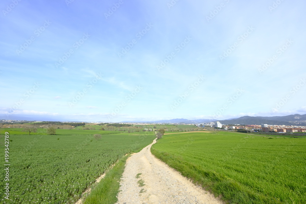 Country road in Mollet del Valles in Barcelona province in Catalonia Spain to the horizon between green fields Country road in Mollet del Valles in Barcelona province in Catalonia Spain to the horizon between green fields