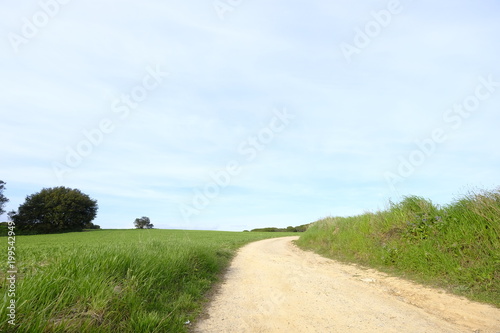 Country road in Mollet del Valles in Barcelona province in Catalonia Spain to the horizon between green fields