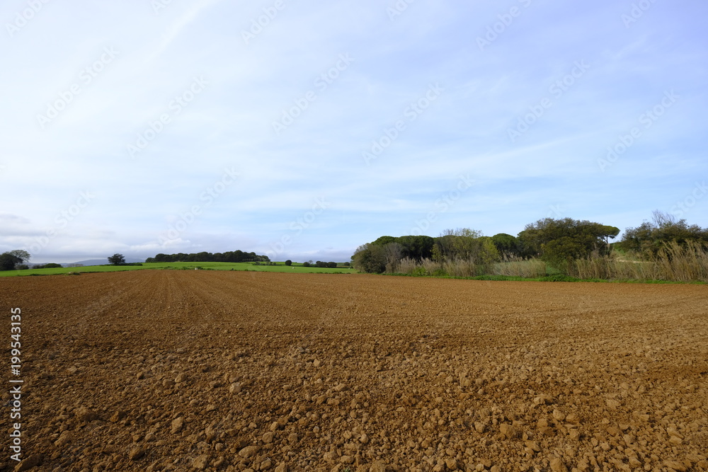 Obraz premium Landscape with agricultural land of plains, recently plowed and prepared for cultivation in Mollet del Valles in Barcelona Catalonia Spain