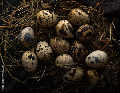 Quail eggs in a straw nest.