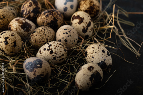 Quail eggs in a straw nest.