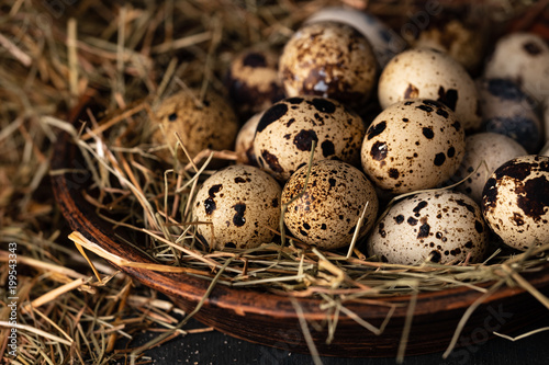 Quail eggs in a straw nest.
