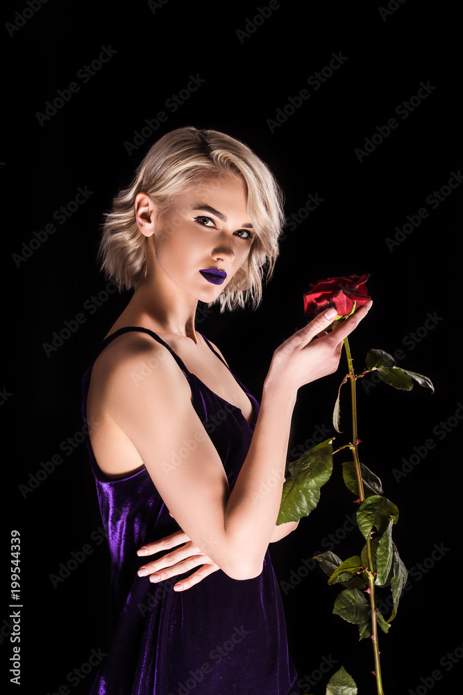 Free: A handsome young man is holding a rose and posing romantically -  nohat.cc