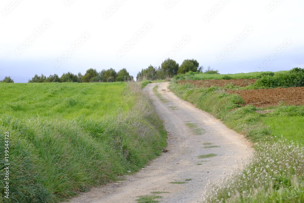 Country road in Mollet del Valles in Barcelona province in Catalonia Spain to the horizon between green fields Country road in Mollet del Valles in Barcelona province in Catalonia Spain to the horizon between green fields