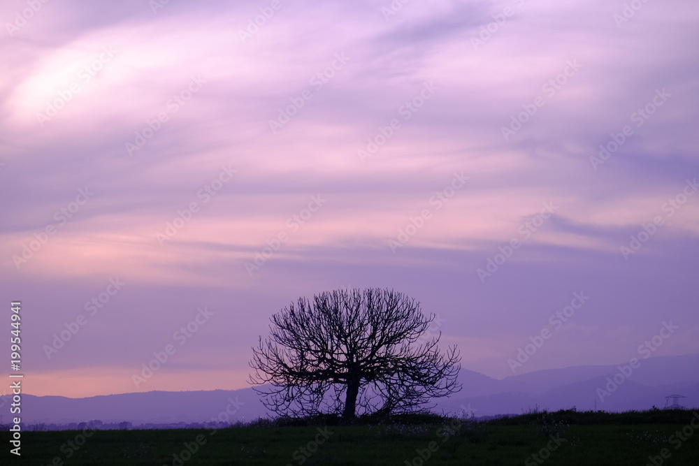 Landscape at sunset in Mollet del Valles in Barcelona province in Catalonia Spain Landscape at sunset in Mollet del Valles in Barcelona province in Catalonia Spain