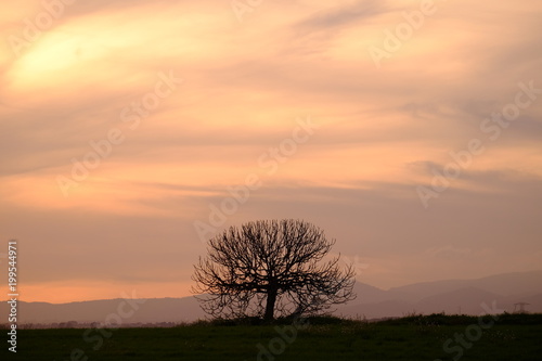 Landscape in Mollet del Valles in Barcelona province in Catalonia Spain