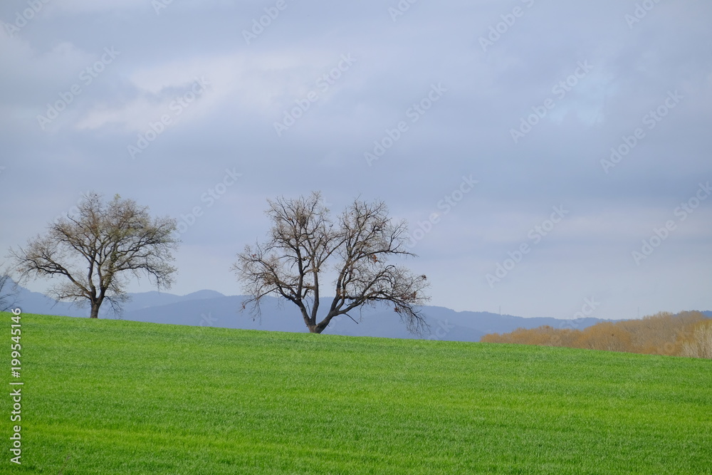 Green field in Mollet del Valles in Barcelona province in Catalonia Spain