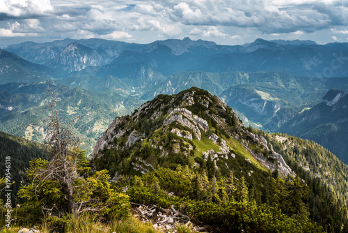 Rocky peaks and pine trees between the Alpine ranges