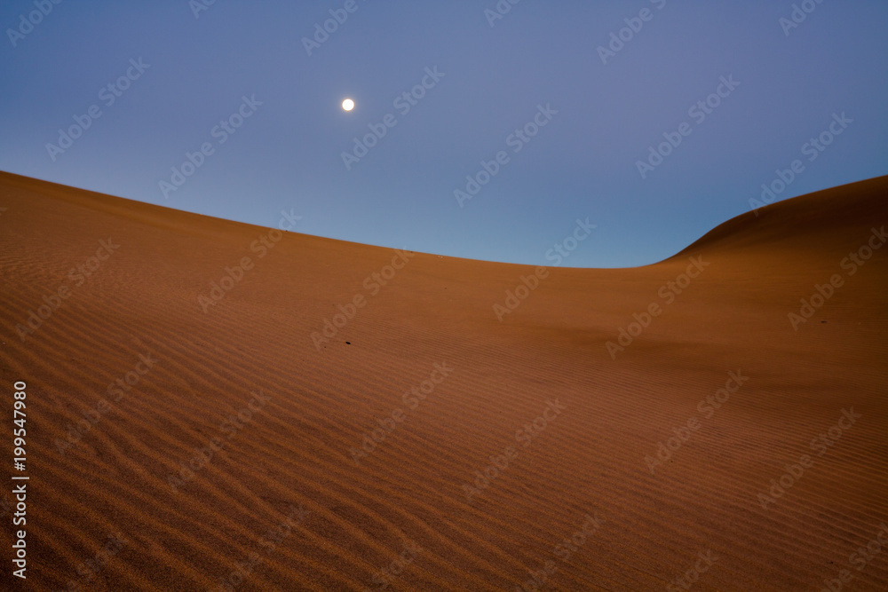 Moony landscape on sand dunes.