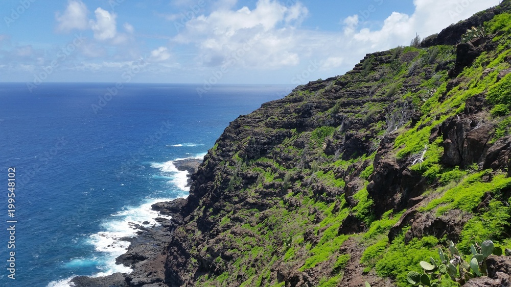 Fototapeta premium Cliffside