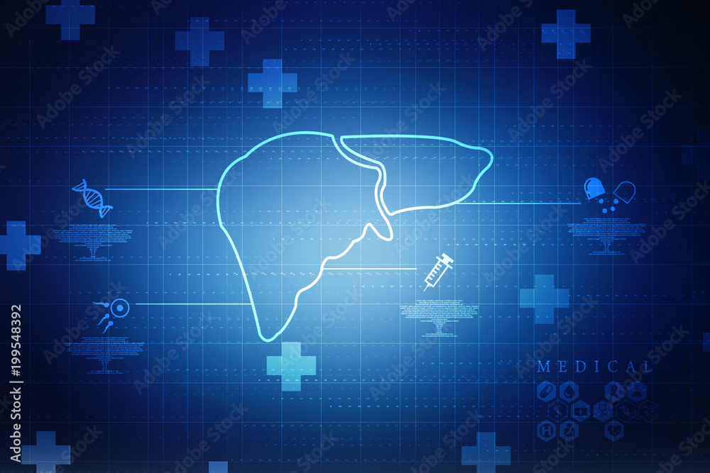 Realistic human liver 2d illustration Realistic human liver 2d illustration