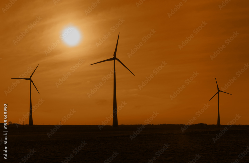 Wind power turbines generating electric.