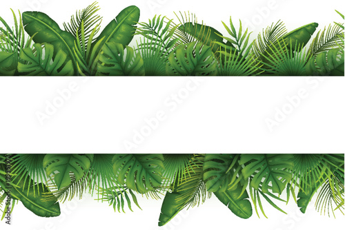 Tropical jungle background with palm trees and leaves on white background