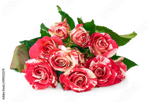 bouquet of beautiful roses © SERGIYVOLODYMYROVYCH
