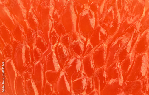 the flesh of grapefruit