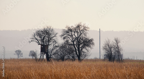 Rural landscape view in Bavaria Germany