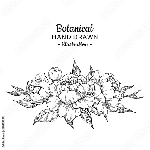 Vintage flower bouquet. Vector drawing. Peony, rose, leaves and 