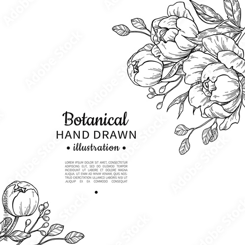 Vintage flower vector frame drawing. Peony, rose, leaves and ber