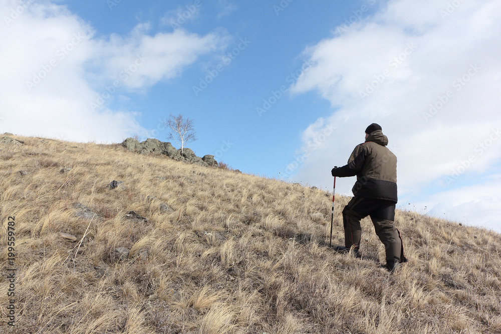 Nordic Walking - adult man climbing to top of a mountain Bald, Bugotaksky hills, Novosibirsk region, Russia Nordic Walking - adult man climbing to top of a mountain Bald, Bugotaksky hills, Novosibirsk region, Russia
