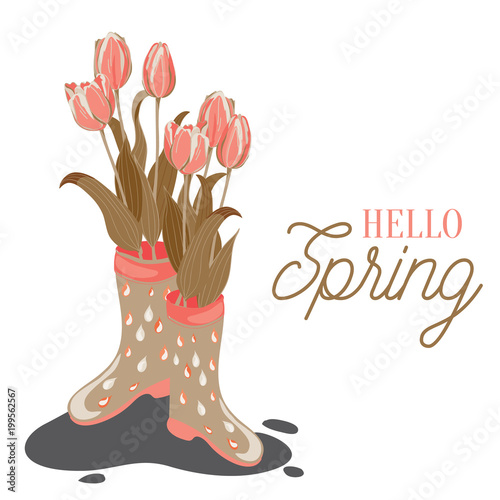 Tulips in rainy boots. Vector illustration of pink and orange tulips in wellies on white background. Hello Spring!