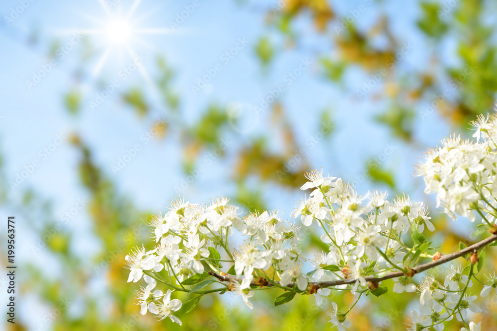 Obraz premium Frühling 448