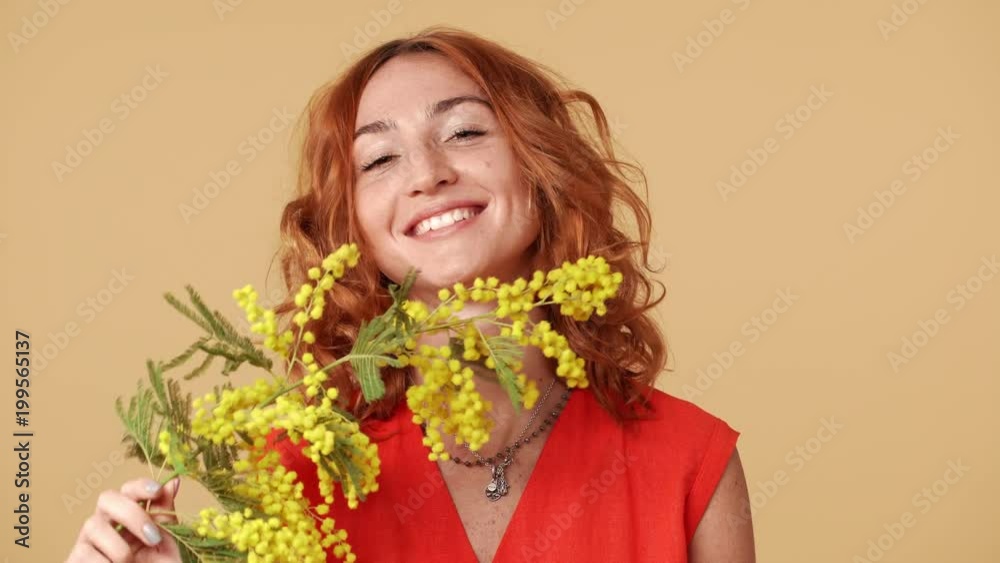 Colorful portrait of attractive woman with ginger hair smiling and smelling mimosa blossoms, isolated over beige background