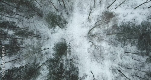 Aerial view of the winter forest