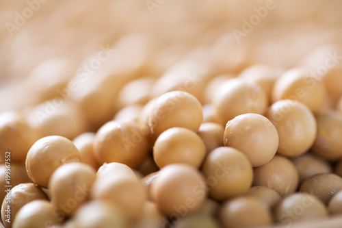Closeup of soy beans