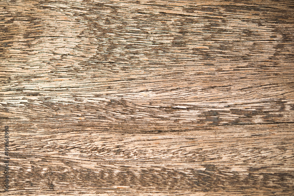 Fototapeta premium wooden natural seamless background with fine texture