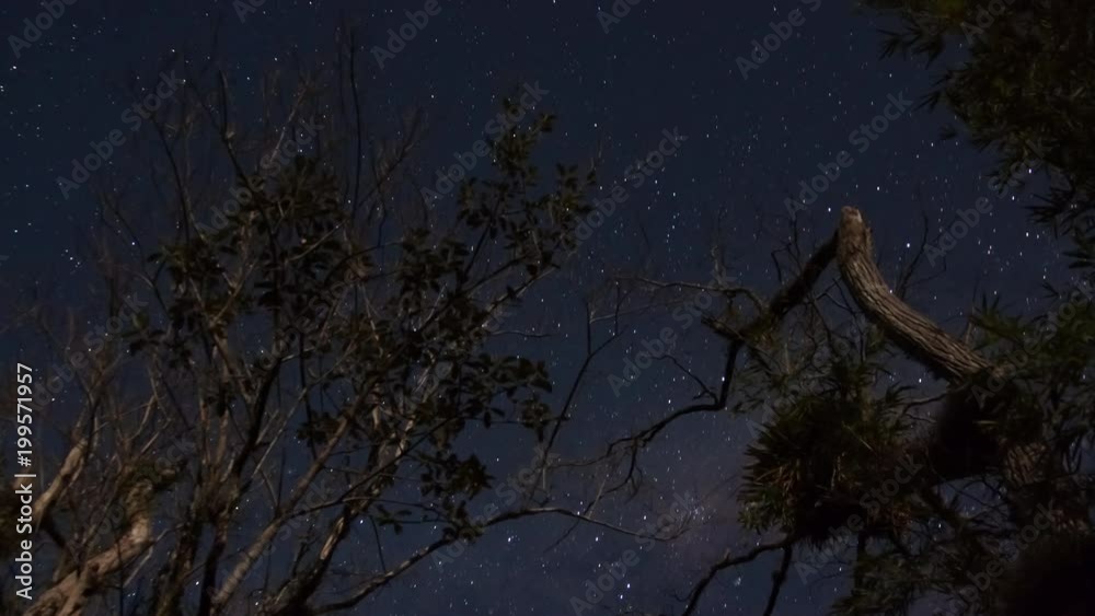 Time lapse - Night with stars and milkyway, tree branches in the foreground. Orleans, Santa Catarina / Brazil Time lapse - Night with stars and milkyway, tree branches in the foreground. Orleans, Santa Catarina / Brazil