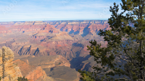 Grand Canyon In Sunny Day On Background Of Pine Tree