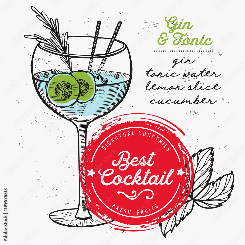 Cocktail gin and tonic for bar menu. Vector drink flyer for restaurant
