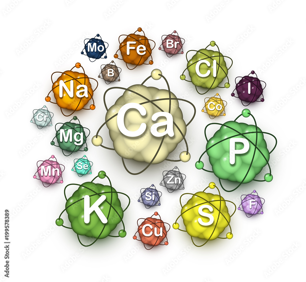 Various microelements, macroelements and minerals, vitally essential  dietary nutrients and chemical elements for human health and beauty, atom  size is proportional to the element amount in the body Stock Vector | Adobe