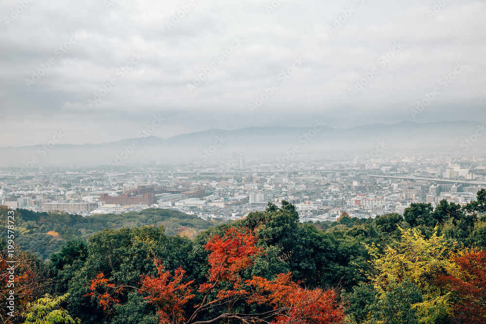 Kyoto city and autumn maple view under cloudy sky at Fushimi Inari shrine in Kyoto, Japan