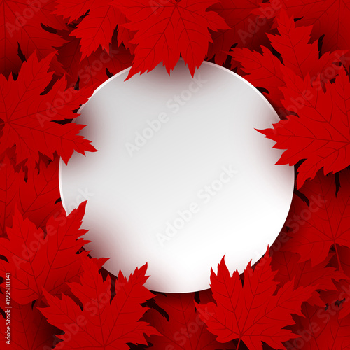 Canada day design of blank white paper and red maple leaves background with copy space vector illustration