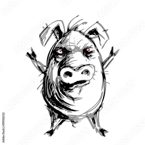 Hand drawn angry pig