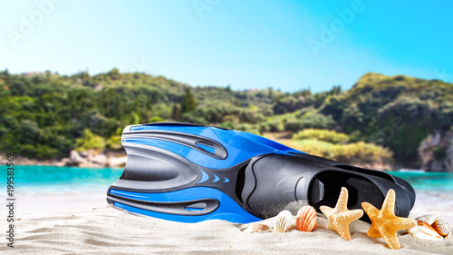 beach and fins on sand 