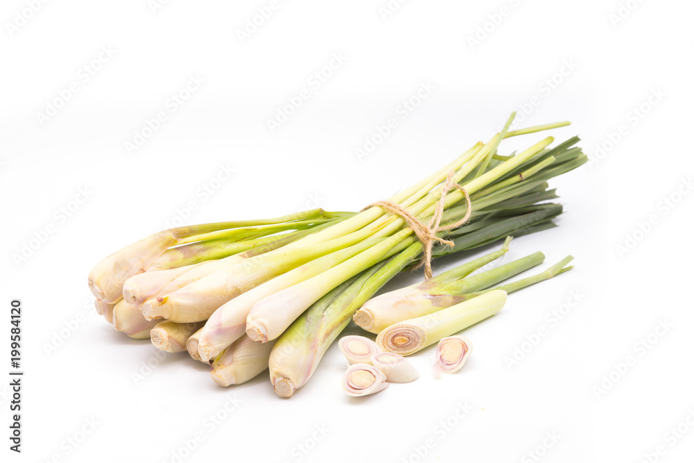 Lemon grass on white background Lemon grass on white background
