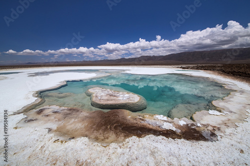 Hidden lagoon Baltinache (Lagunas escondidas Baltinache) Atacama Desert, Chile photo