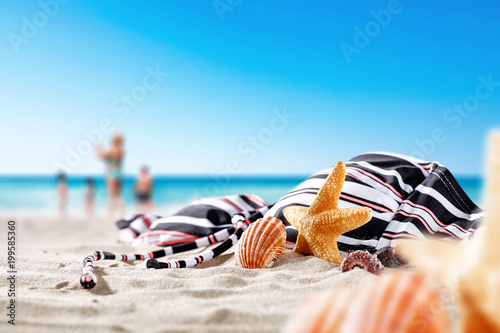 summer shell on beach 