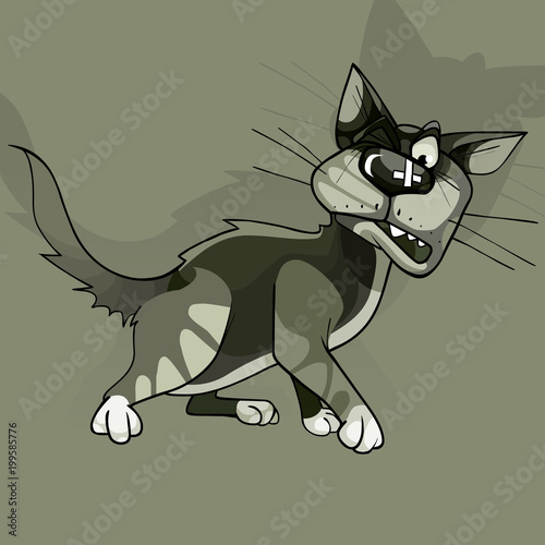 Quadro su tela Angry evil furry fluffy courtyard cat