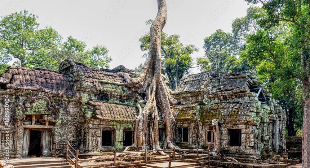 Naklejka premium Ta Prohm Temple, Cambodia